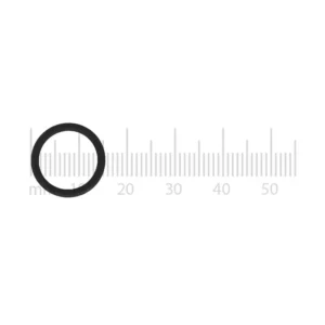 Saeco O-Ring Dampfdüse